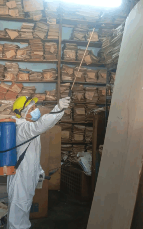 Publicación de Instagram Minimalista Cita Crema y Gris (11)