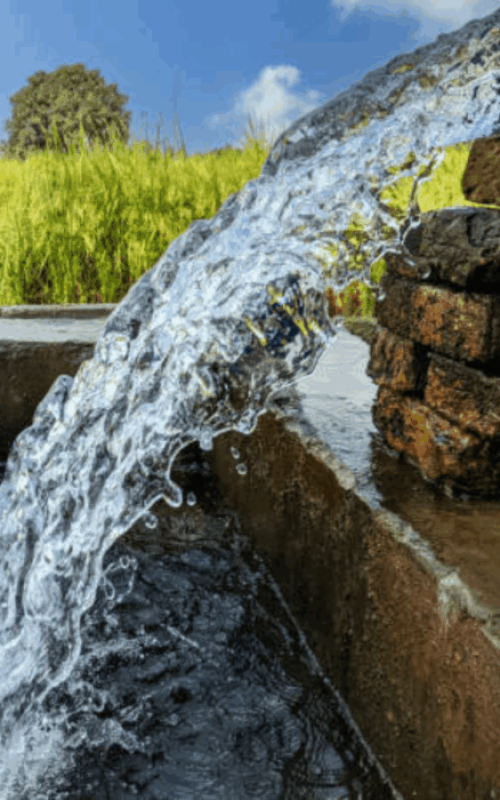 Publicación de Instagram Minimalista Cita Crema y Gris (29)