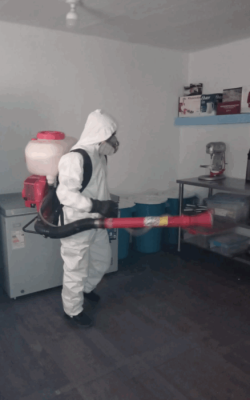 Publicación de Instagram Minimalista Cita Crema y Gris (32)