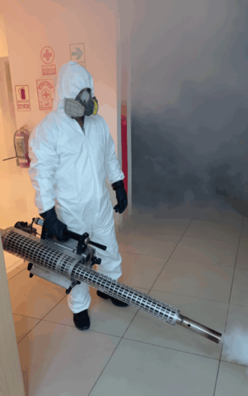 Publicación de Instagram Minimalista Cita Crema y Gris (34)